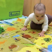 Casmatino ABC ANIMAL