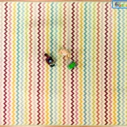 Zig Zag Schaum-Spielmatte